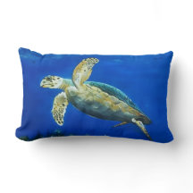 Simmare (sköldpadda)