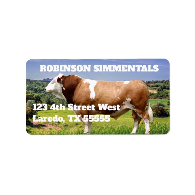 Simmental Bull in Pasture Adressetikett (Framsidan)