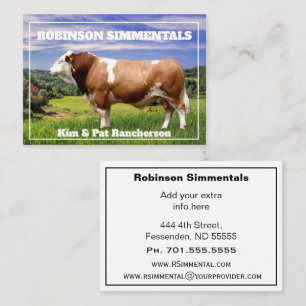 Simmental Bull in Pasture Visitkort