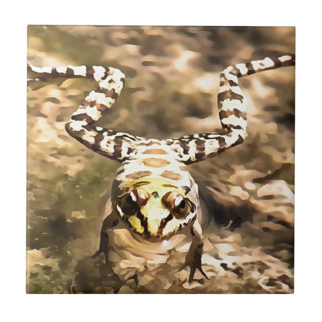 Simmning Frog nedsänkt i den fria floden Vatten Pa Kakelplatta (Framsidan)