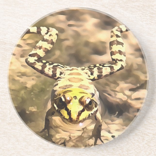 Simmning Frog nedsänkt i den fria floden Vatten Pa Underlägg Sandsten (Framsidan)