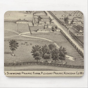 Simmon's Prairie Farm, Kenosha Vatten Cure Musmatta