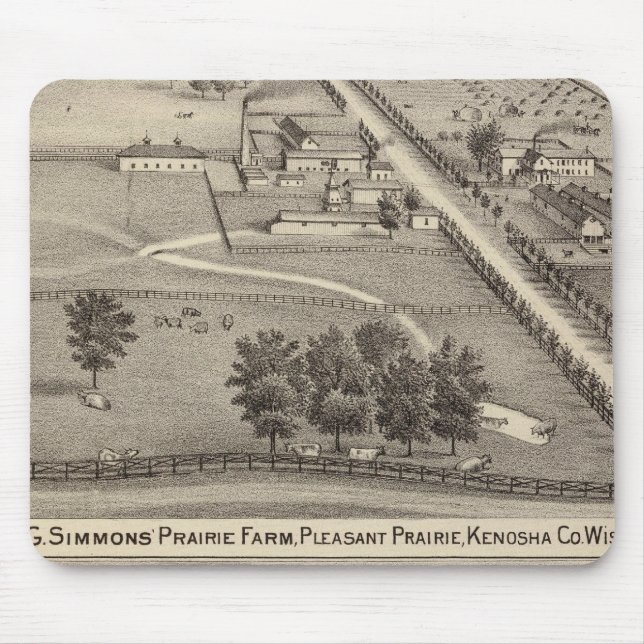 Simmon's Prairie Farm, Kenosha Vatten Cure Musmatta (Framsidan)