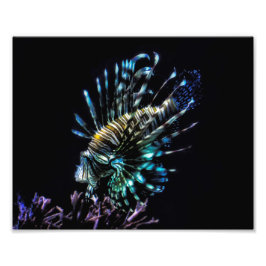 simmor av lionfisk fototryck