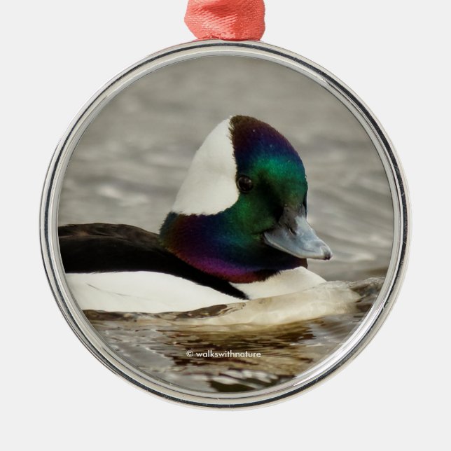 Simmor i Charming Bufflehead Anka av Julgransprydnad Metall (Framsidan)