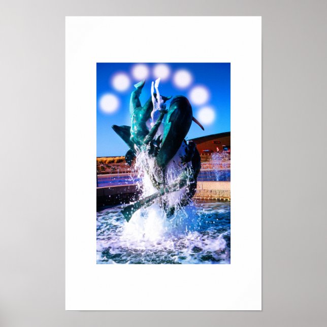 Simmor med delfiner fontän poster (Framsidan)