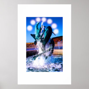 Simmor med delfiner fontän poster