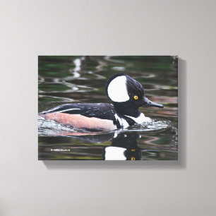 Simmorna i Anka av de stenande Hooded Merganser Canvastryck