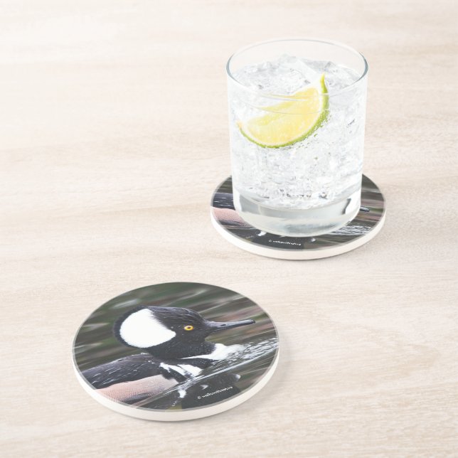 Simmorna i Anka av de stenande Hooded Merganser Underlägg (Sidan)