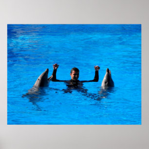 Simning av delfiner i Spanien Poster