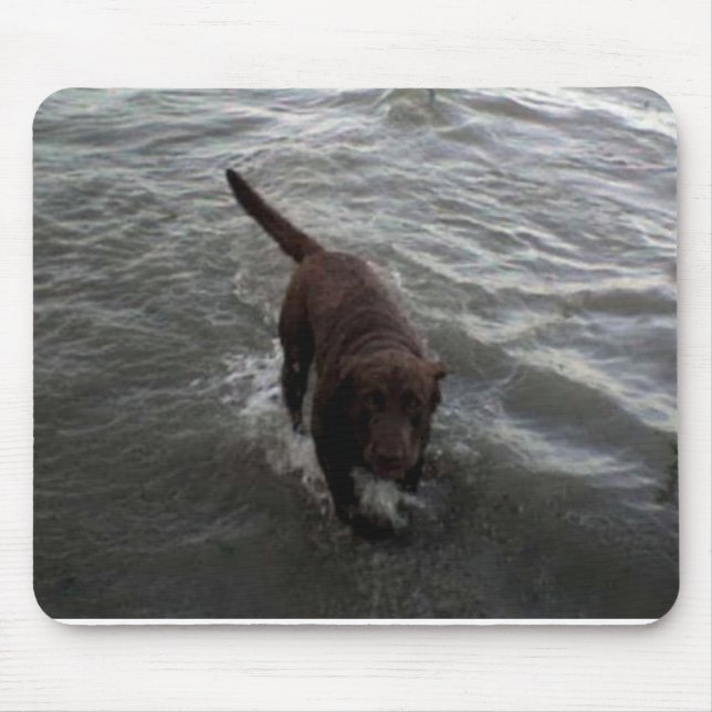 Simning för Labrador Retriever Musmatta (Framsidan)