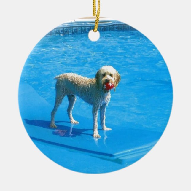 Simning för vitCockapoo hund på en Raft Julgransprydnad Keramik (Framsidan)