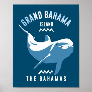 Simning med delfiner Grand Bahama Poster