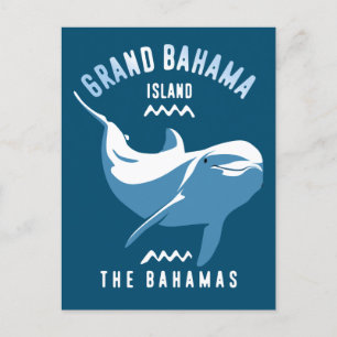 Simning med Dolphins Grand Bahama Dyka Vykort