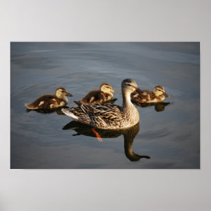 Simning med Mamma Poster
