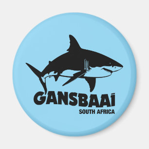 Simning med Underbara vita hajar - Gansbaai dyving Magnet
