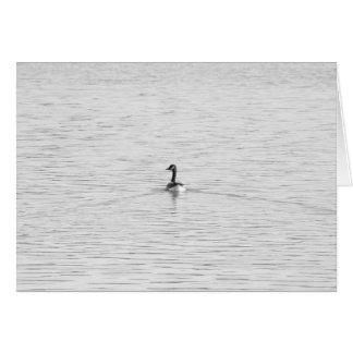 Simninggås OBS Kort