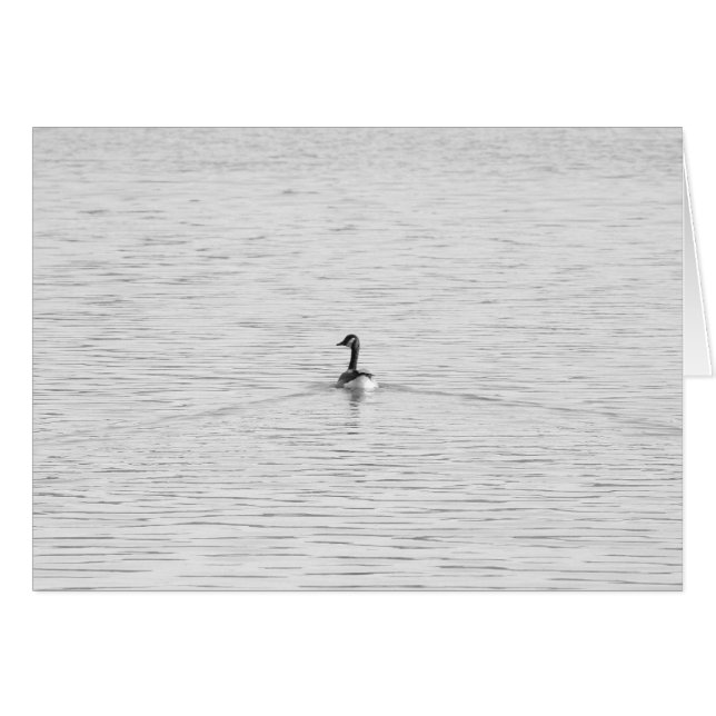 Simninggås OBS Kort (Framsidan Horizontal)