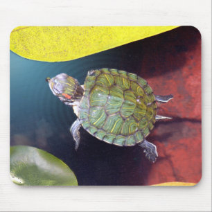 Simningsköldpadda Mousepad Musmatta
