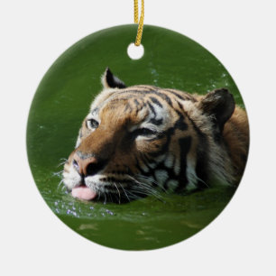 Simningtigerprydnad Julgransprydnad Keramik