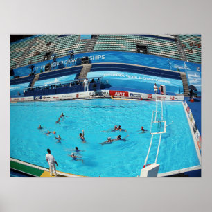 SIMNINGVÄRLDSMÄSTERSKAP ROME 2009 POSTER