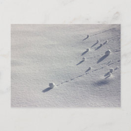 Simon Says CC0077 vykort