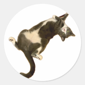 Simon Sticker spelar! Runt Klistermärke