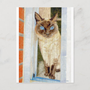 Simone vid fönstret (Siamese) Vykort
