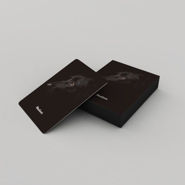 Simple Black Hund Ansikte Casinokort (Skapare uppladdad)