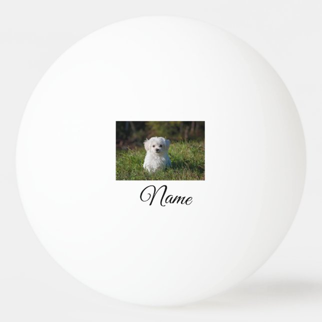 Simple colorful animal add name photo custom throw pingisboll (Framsidan)