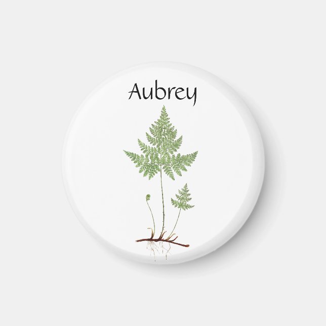 Simple Fern. Magnet (Framsidan)