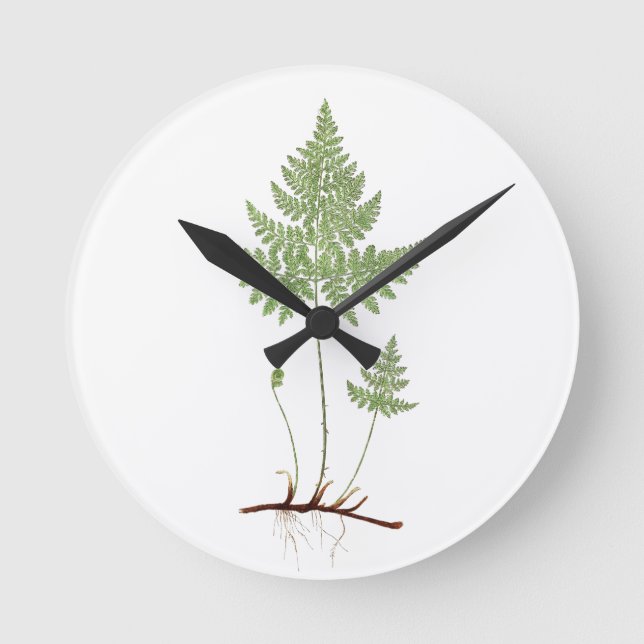 Simple Fern. Rund Klocka (Framsida)