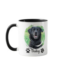 Simple Modern Pet Photo Namn