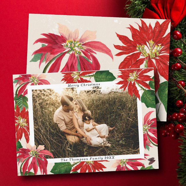 Simple Modern Poinsettia Family Photo-jul Julkort (Simple Modern Poinsettia Family Photo Christmas Holiday Card)
