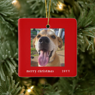 Simple Modern Red Ram Family Pet Photo Helgdag Julgransprydnad Keramik