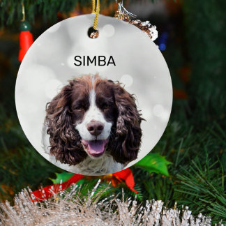 Simple Pet Photo och Namn Julgransprydnad Keramik