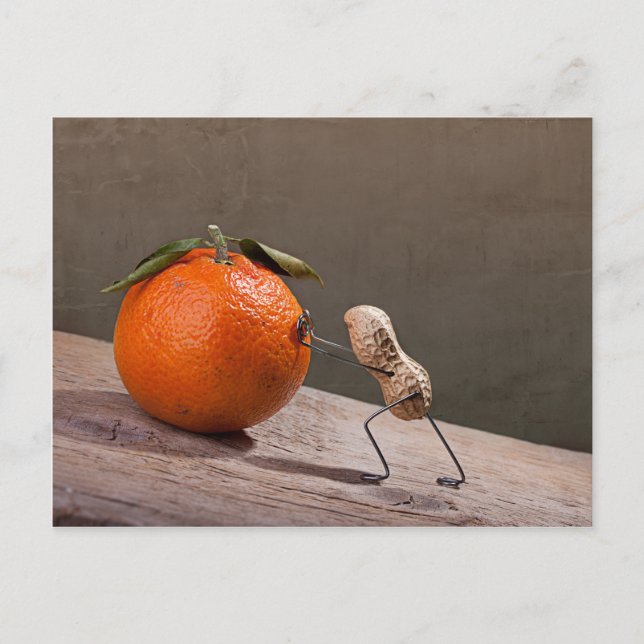 Simple Sak - Sisyphos Vykort (Framsida)