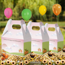 Simple Sweet Rosa Pumpkin Carriage Girl's Birthday