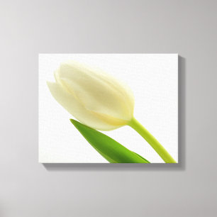 Simple Tulip Canvastryck