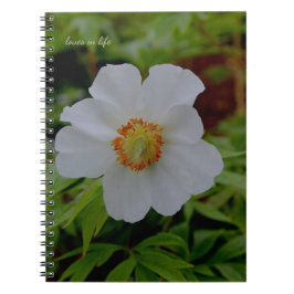Simple White Peony Flower Anteckningsbok