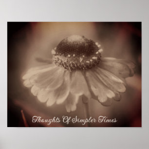 Simpler Times Sepia Zinnia Flower Nostalgia Poster