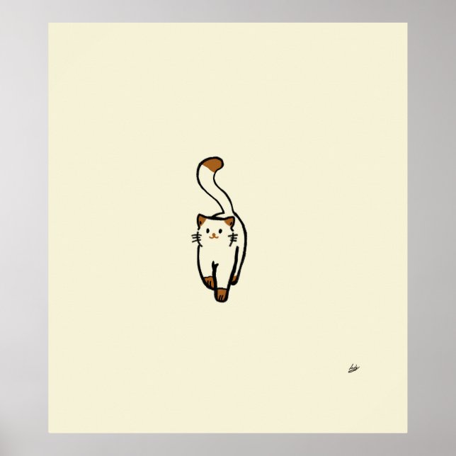 Simplicity N14 Poster (Framsidan)