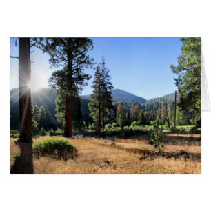 Simpson Meadow - Sierra Hälsningskort