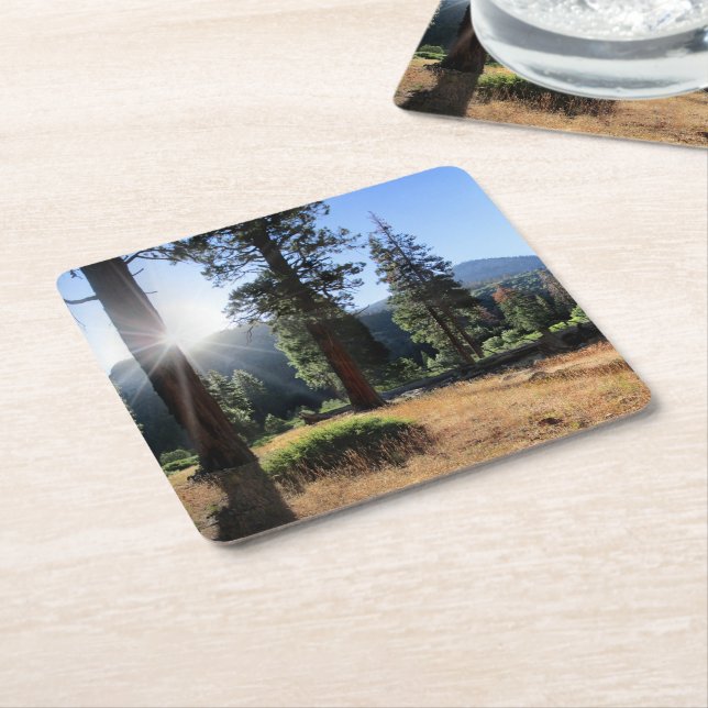 Simpson Meadow - Sierra Underlägg Papper Kvadrat (Vinklad)