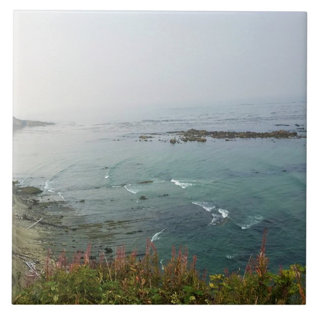 Simpson Reef Overlook, Oregon Coast Kakelplatta (Framsidan)