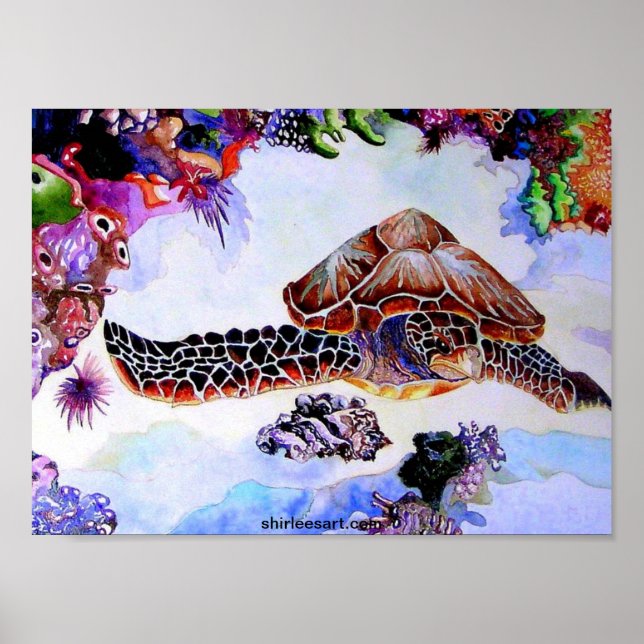 simsköldpadda poster (Framsidan)