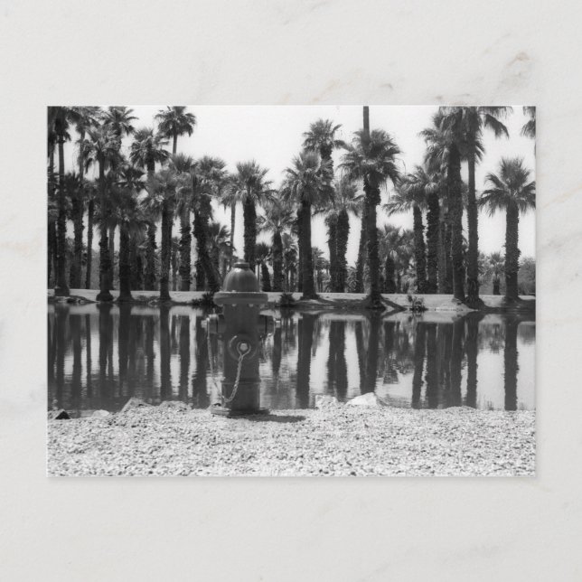 Simslärlingar Vykort (Framsida)