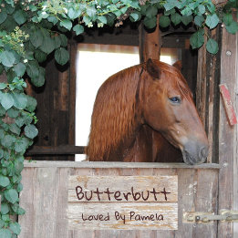 Simulated Rustic Wood Horse Stall Classic Room
