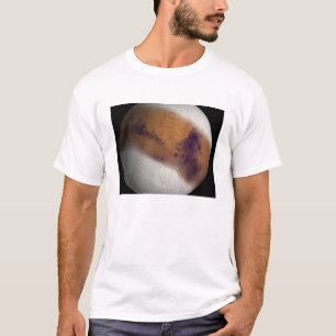 Simulerat beskåda av Mars T Shirt