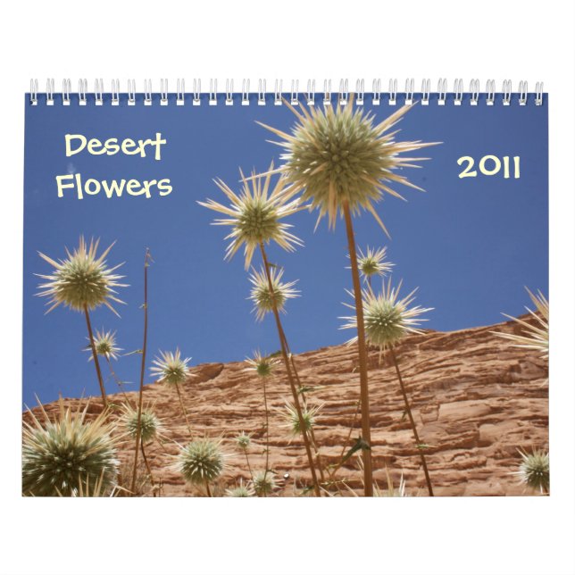 Sinai ökenblommor kalender (Omslag)